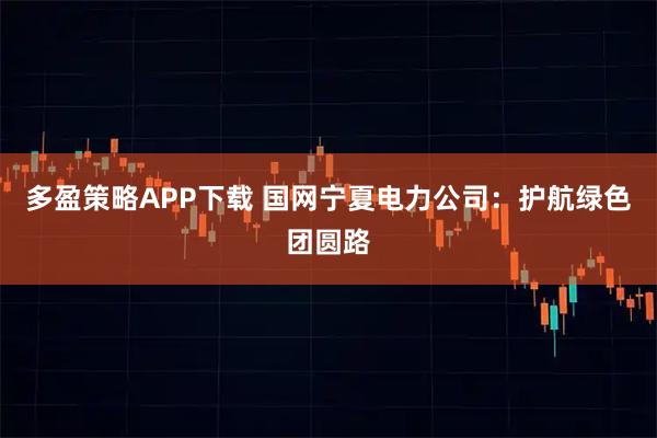 多盈策略APP下载 国网宁夏电力公司：护航绿色团圆路