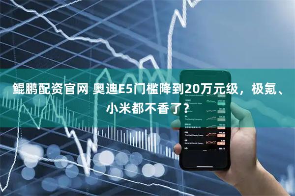 鲲鹏配资官网 奥迪E5门槛降到20万元级，极氪、小米都不香了？