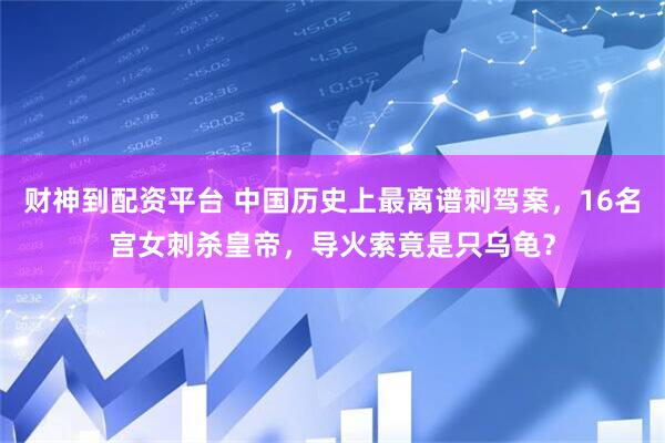财神到配资平台 中国历史上最离谱刺驾案，16名宫女刺杀皇帝，导火索竟是只乌龟？